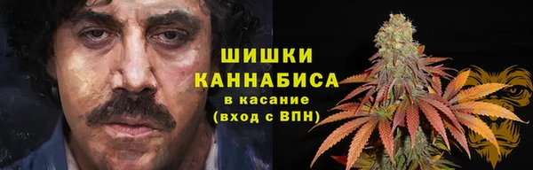 бошки Алексин
