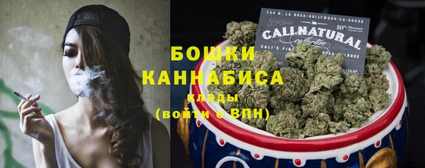 бошки Алексин