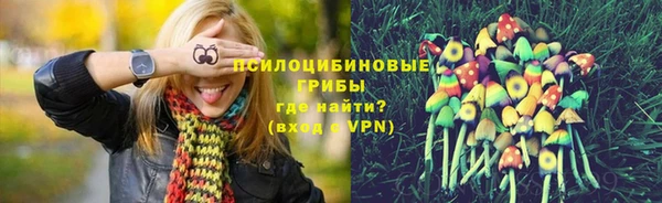 бошки Алексин