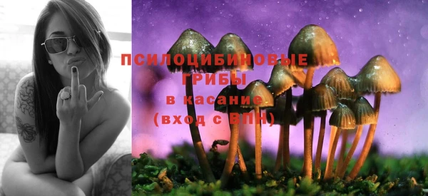 бошки Алексин