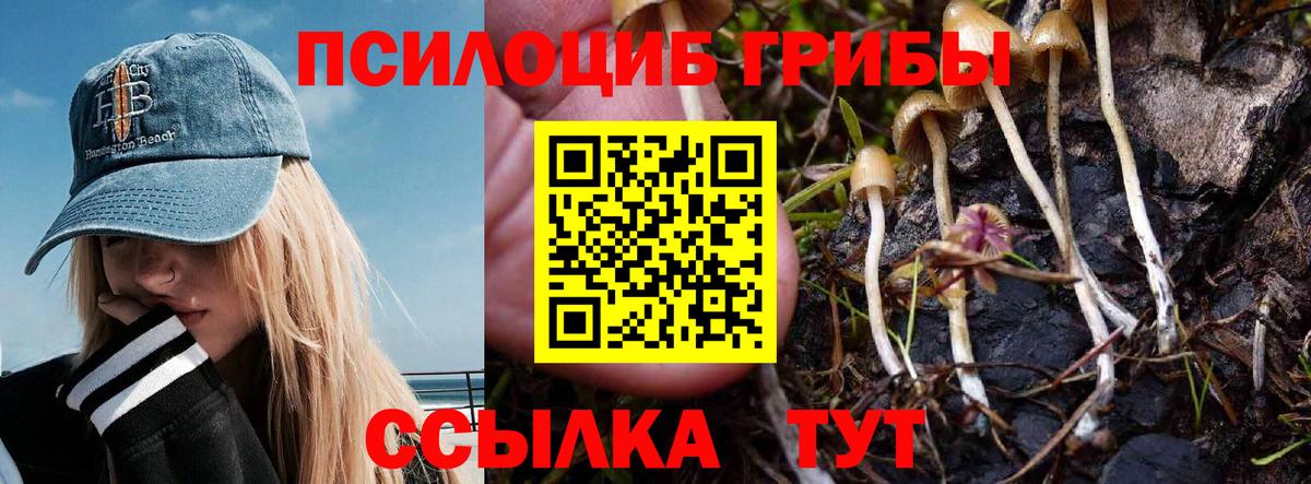 Галлюциногенные грибы прущие грибы Гусь-Хрустальный