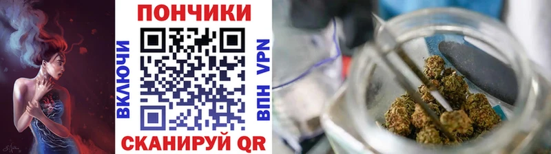 купить наркоту  Гусь-Хрустальный  Каннабис Amnesia 